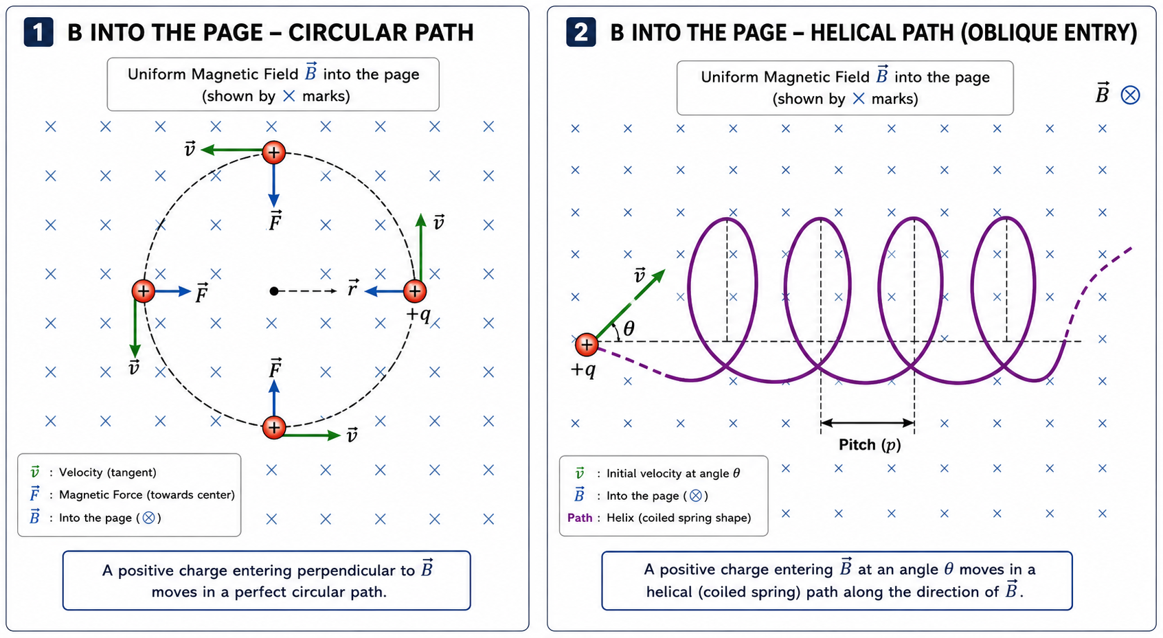 Particle Trajectories